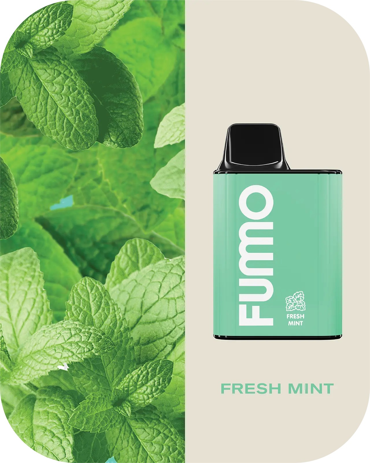 FUMO King 6000 Disposable E-cigarette - Refreshing Mint Flavor