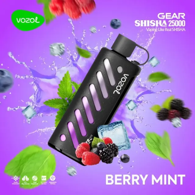 VOZOL GEAR SHISHA 25000 Berry Mint flavored e-cigarette.