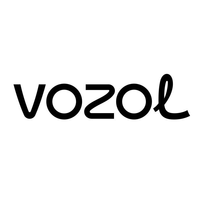 VOZOL company wordmark logo.